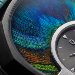 Alternative view of Quantum I Peacock Edition